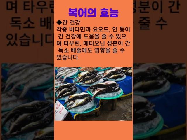 복어의 효능 #복어 # #참복과 #Tetraodon #100세건강 #건강정보 #건강비결