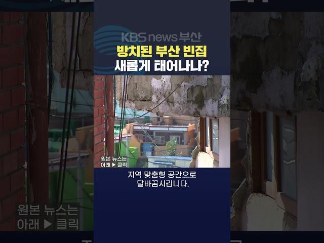 2024.11.21 #빈집 #정비 #재건축 방치 안전사고 무허가 건물 주거단지 주택사업 김아르내기자