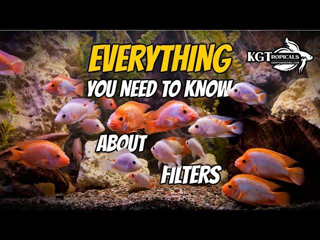 Aquarium Filters Explained, The Good, The Bad and The Ugly