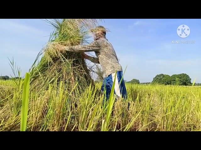 Bird hunting PH ep21