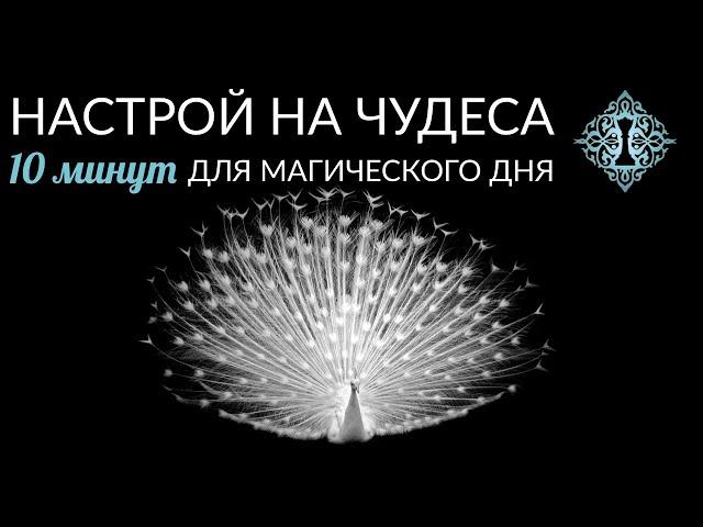 НАСТРОЙ НА ЧУДЕСА. Утренний ритуал от Ады Кондэ. #АдаКондэНастрой