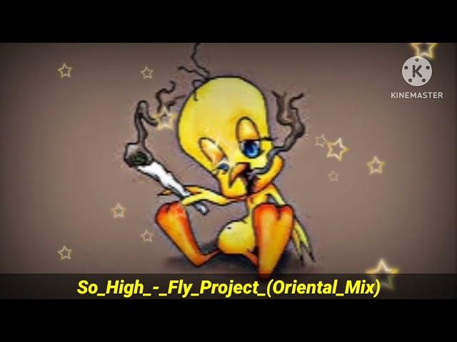 Dj So High Fly Project Oriental Mix || Dj Nisa Mixing 2023 || Dj Fizo Faouez || Dj Fizo Remix 2023