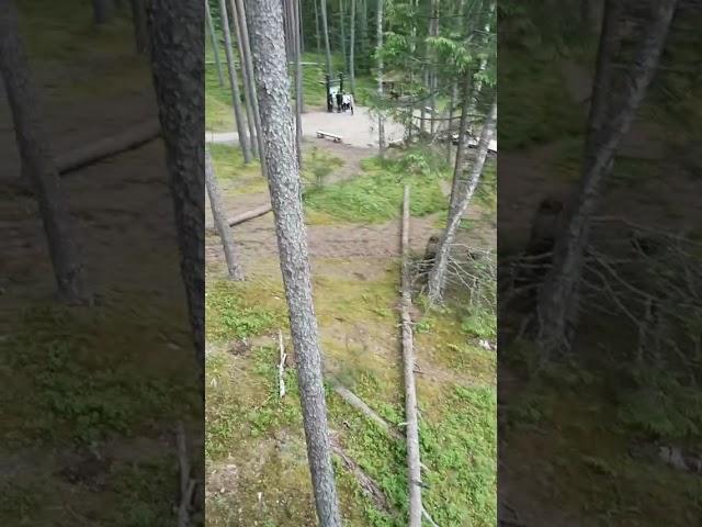 Озеро Велнэзерс (за Аглоной, Латгале) в этом году. 22.06. 2025.