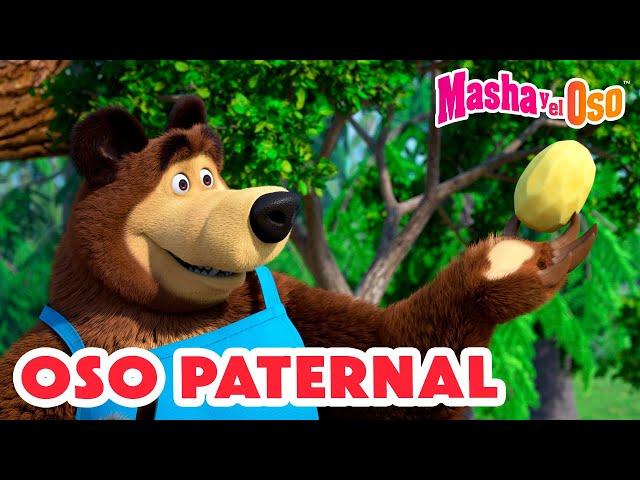 Masha y el Oso 2024 ‍️ Oso paternal  1 hora  Dibujos animados  Masha and the Bear