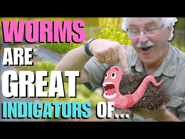 EARTHWORMS in your SOIL are a GREAT INDICATOR OF...