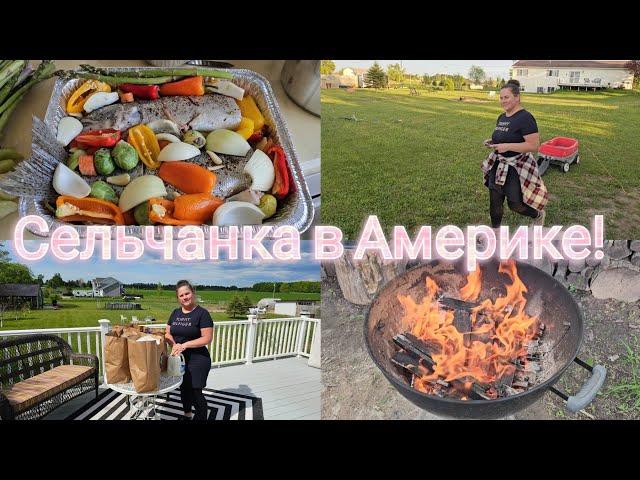 Бесплатные продукты в США , ФОРЕЛЬ НА КОСТРЕ !