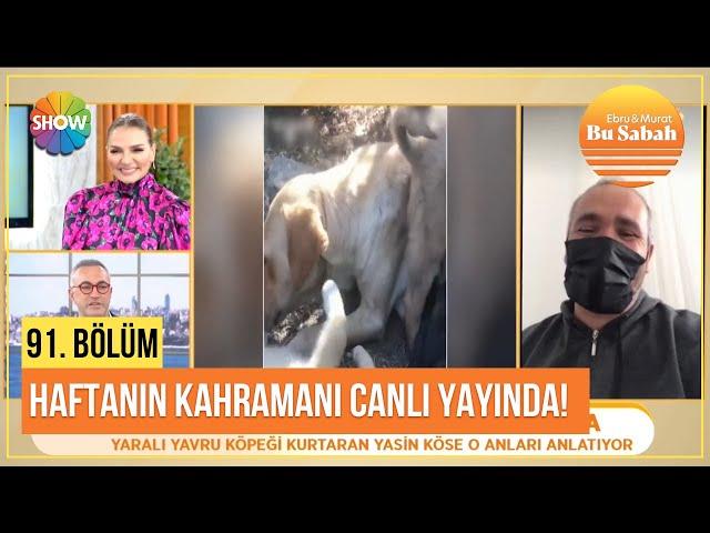 Yaralı yavru köpeği kurtaran haftanın kahramanı Yasin Köse canlı yayında o anları anlatıyor!