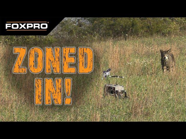 Coyotes Zoned In On The FOXPRO X-360!