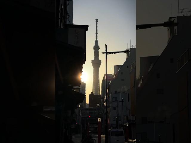 POV: You wake up early in Tokyo
