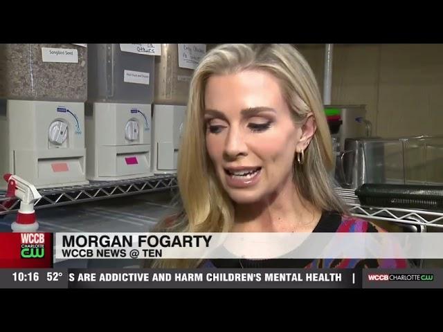 "We've Never Had This Hard of a Time" | WCCB Charlotte's CW - News @10, Oct. 24, 2023