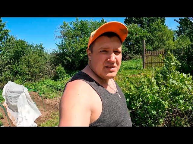 Решили снести колодец, расчищаем вокруг