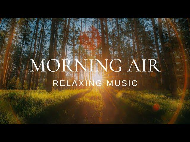 Peaceful Relaxing Guitar | Work Study Read Focus | Morning Air