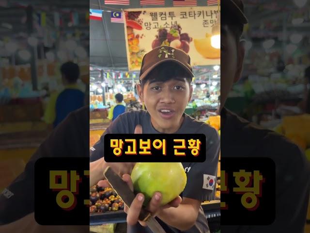 우리 망고보이 최신버젼 #삐끼삐끼 까지 배웠다니 업데이트가 빠르네#망고보이 #필리피노마켓 #1kg에25링깃#코타키나발루