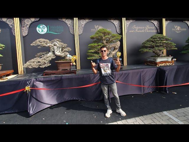 pameran dan kontes Bonsai & suiseki piala presiden 2024