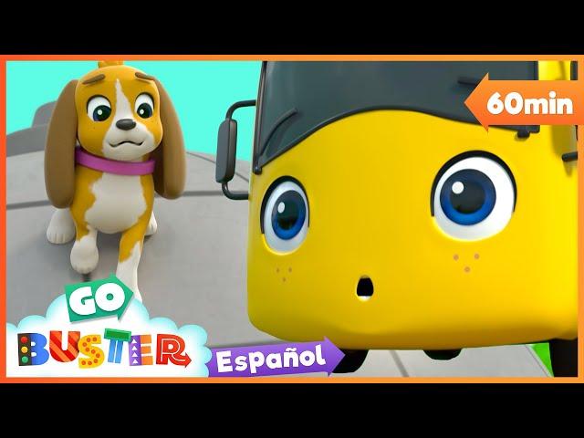 Héroe Buster Salva al Cachorro! |  1 HORA de Go Buster en Español  Dibujos para niños