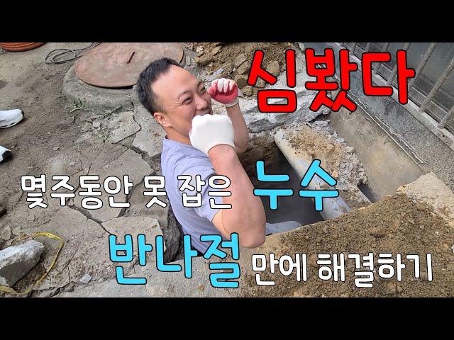 254회.  몇주동안 못 잡은 누수.. 반나절만에 해결하는 방법  (안산누수현장)