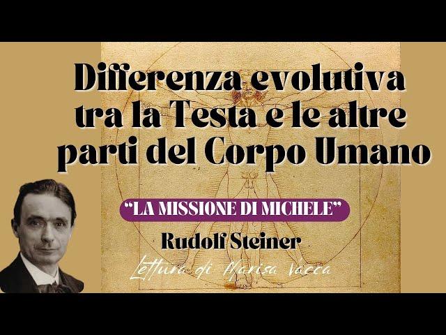 Differenza evolutiva tra Testa e restante parte del Corpo umano- LA MISSIONE DI MICHELE-R. Steiner