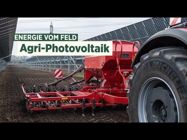 Agri-Photovoltaik: Energie vom Feld ernten