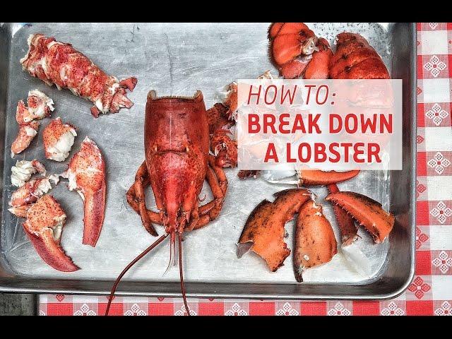 How To Break Down & Eat A Lobster