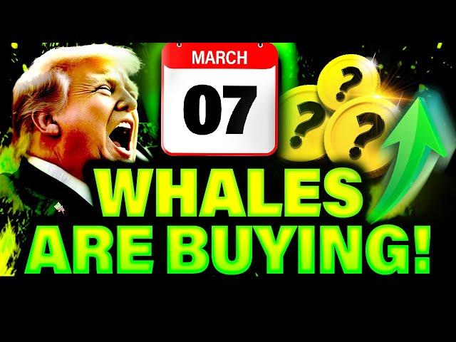 White House Crypto Summit: Whales Are Buying These 3 Altcoins BEFORE March 7