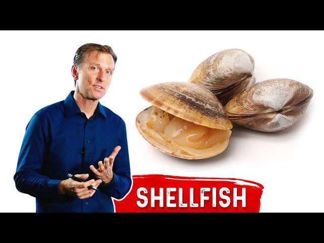 Eat More Shellfish On Keto (Ketogenic Diet) – Dr.Berg