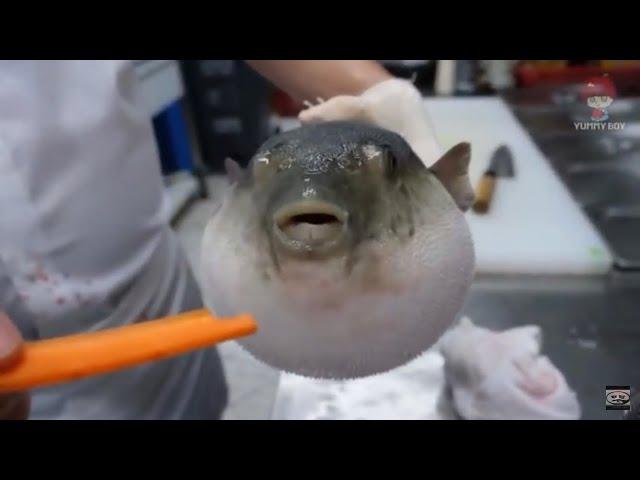 Pufferfish eats carrot (full video)