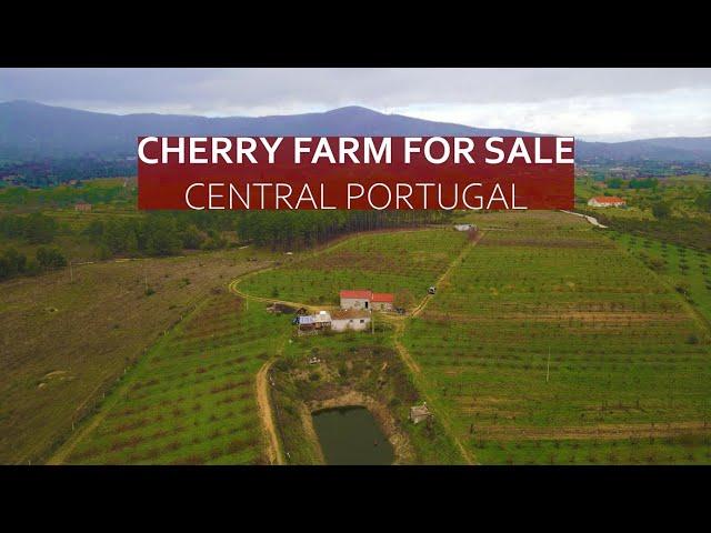 3 HECTARE TURNKEY CHERRY FARM IN CENTRAL PORTUGAL - HOMESTEAD FOR SALE, FUNDAO