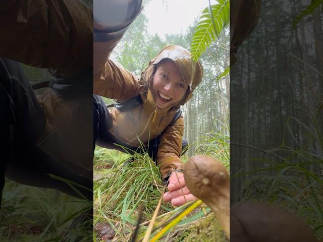 This mushroom goes POOF: Puffballs! 