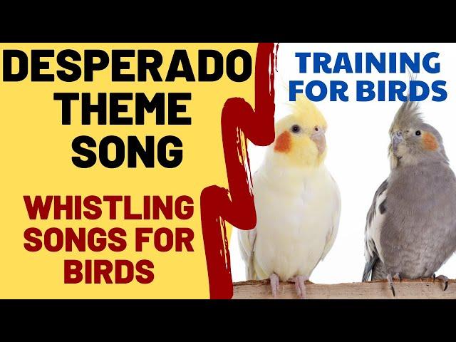 DESPERADO with Whistling - Whistling Songs for Bird, Cockatiel, Parrot, Budgie