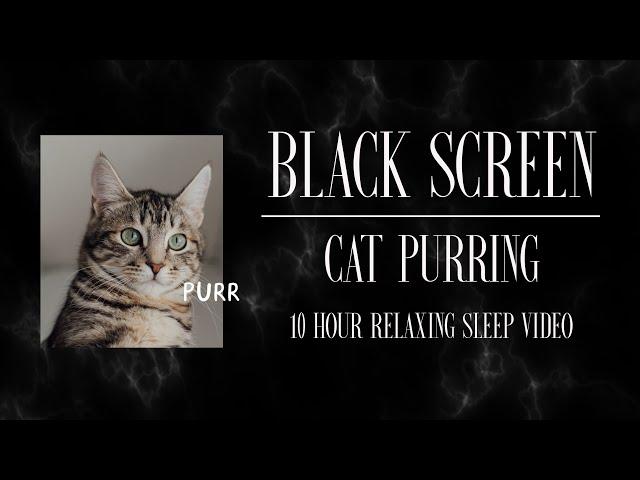 CAT PURRING  l  10 Hours of Pet Sounds for Sleep  l  Black Screen