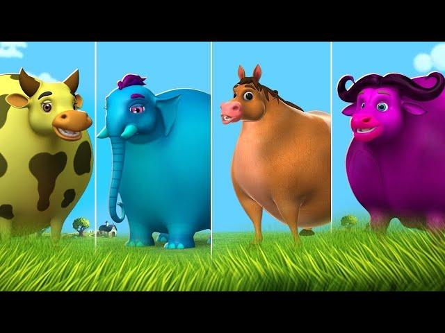 Giant Funny Animals - Live | Funny Fat Animals Comedy Compilation | Cow, Elephant, Cat, Dog, Horse