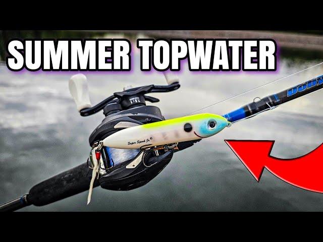 This Lure Catches MORE Summer Bass!