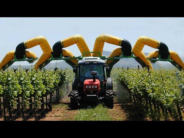 WOW! Modern Agriculture Harvest Technology, Agricultural Machines From The Future, Harvesting Robot