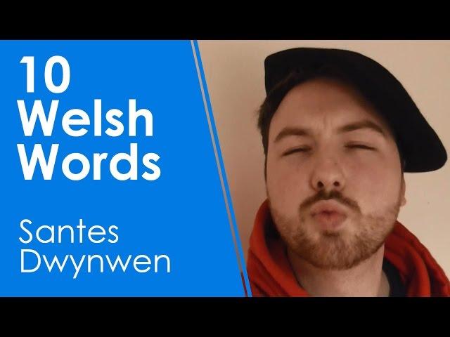 10 Welsh Words - Santes Dwynwen Day (Learn Welsh +)