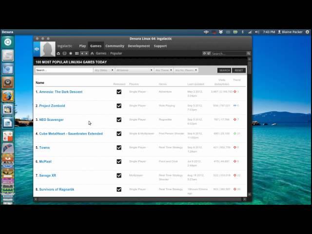 Desura Review - Linux Gaming
