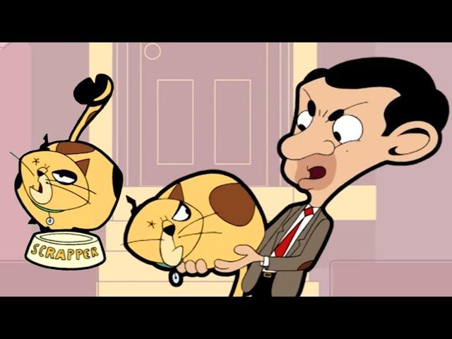 International Cat Day with Mr Bean & Scrapper! | Mr Bean Animated Season 1 | Full Episodes | Mr Bean