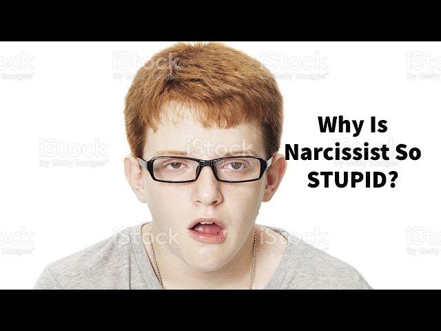 Why Narcissist APPEARS So STUPID (Borderlines and Psychopaths, too, sometimes!)