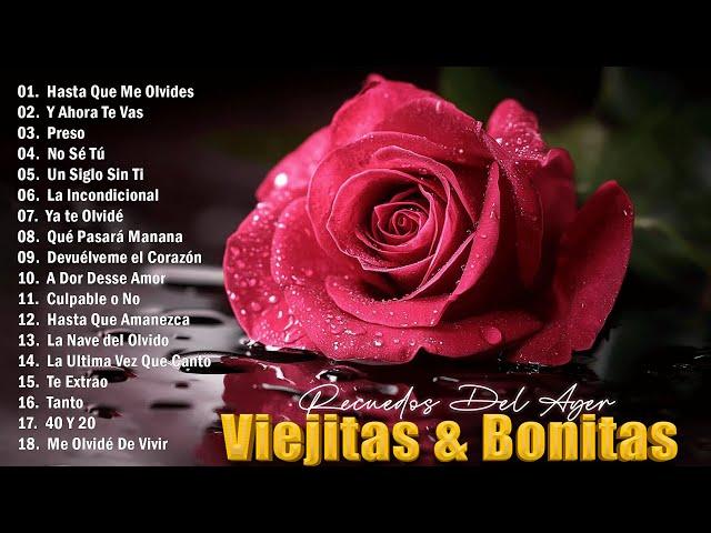 VIEJITAS & BONITAS EN ESPANOL | Musica Romantica 70 80 90 Para Trabajar Y Concentrarse