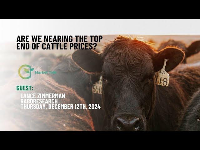 Are We Nearing the Top End of Cattle Prices?