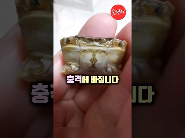게를 살리기 위해 정성스레 돌보는 남성