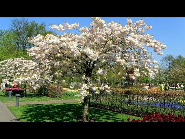 Переезд на Юг, Славянск на Кубани.