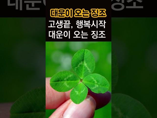 대운이 찾아올때 나타나는 변화! 대운이 들어오는 징조! 큰 행운이 들어오는 전조 증상!