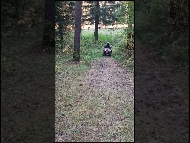 Avantis Hunter 200 В МАКИМАЛЬНОМ ТЮНИНГЕ! #atv #квадроцикл #offroad#200cc #shortvideo
