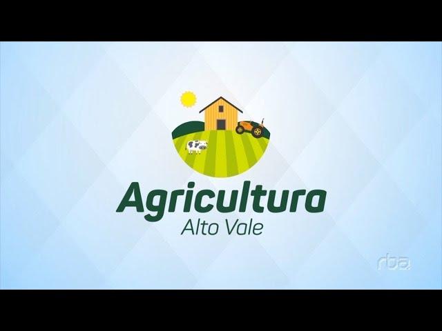 Agricultura Alto Vale – Ed. 09/11/2024