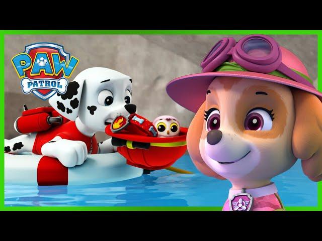 Mais de 1 hora de resgates de Skye e Marshall - Patrulha Pata PAW Patrol Episódio Português