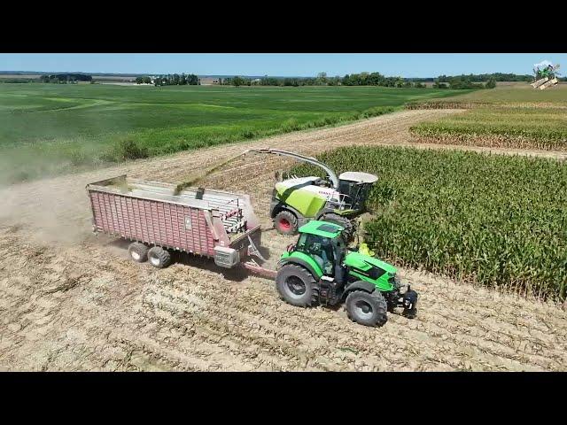 Corn Silage Harvest 2024 with Wuertemberger Chopping