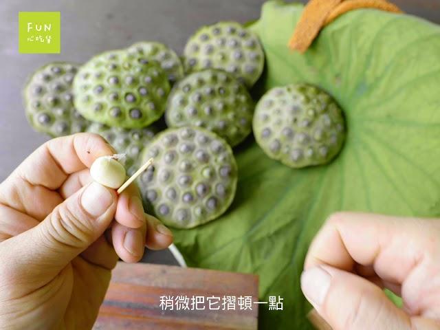 [Fun心教學]自己的蓮子自己剝！疫情期間宅在家剝蓮子DIY