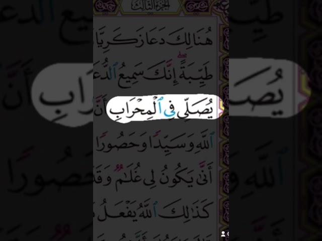 لماذا يسمى محراب ؟؟؟؟