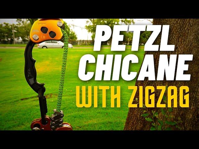 Tree Climbing with Zig Zag and Chicane, Best Tree Gear