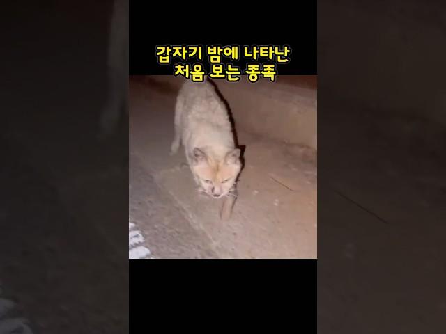 확인해 보니… xx이였다